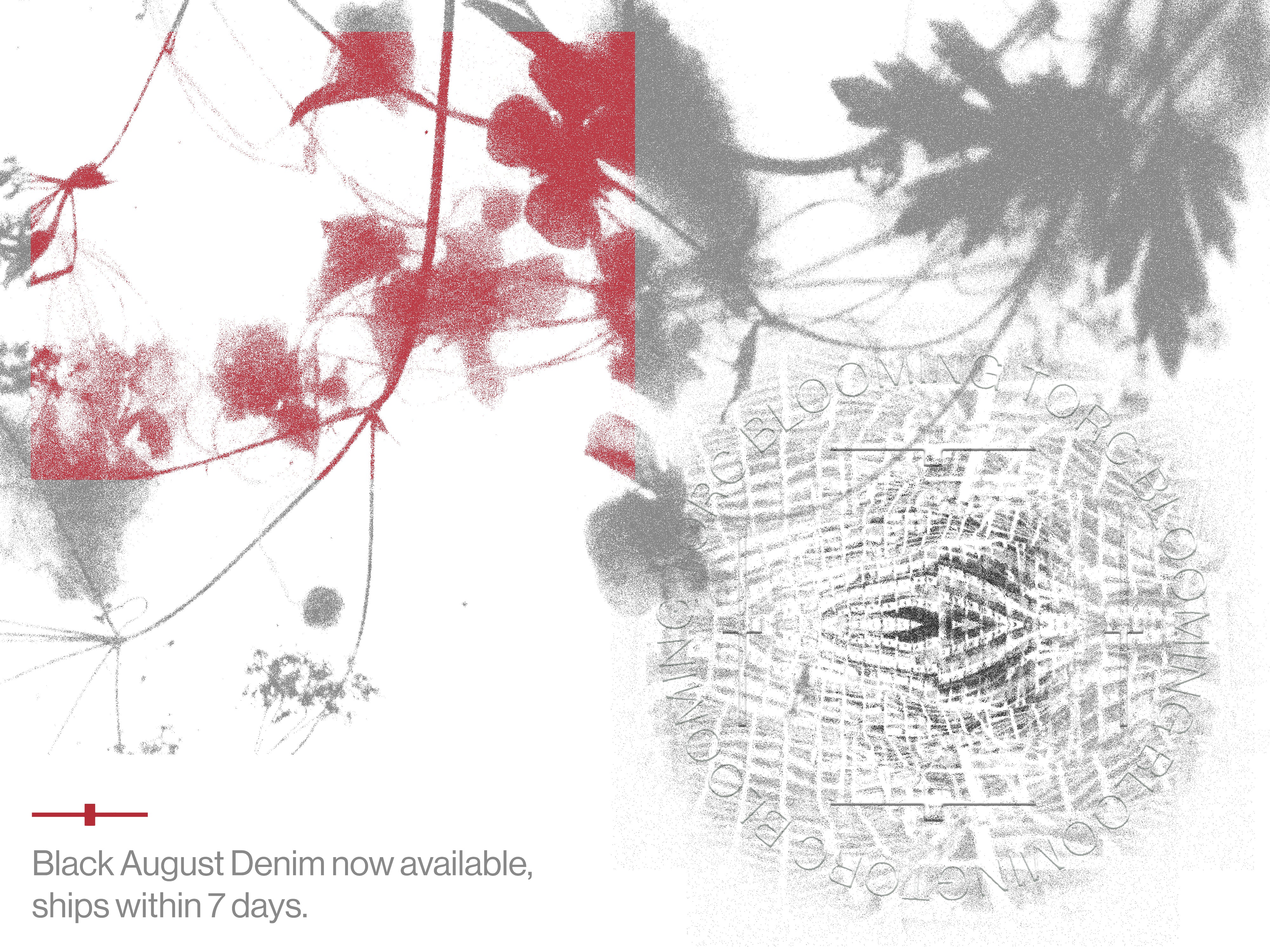 パンツ torc blooming August denim size1 Torc Blooming - August Denim - Black | UP THERE